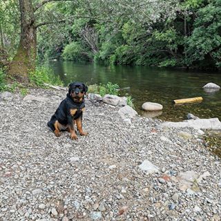 Profile Picture of Michi Jentsch (@michi.jentsch) on Facebook