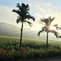 Profile Picture of Frank Nguyen (@frank-nguyen-117) on Quora