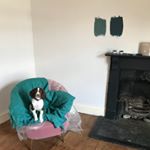 Profile Picture of Angharad Thomas (@renovatingno3) on Instagram