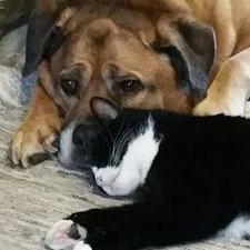 Profile Picture of Amanda_Frankland (@frankland0505) on Twitter