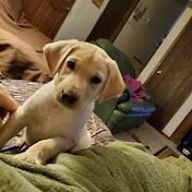 Profile Picture of Jeff Deaton (@fishingwithdylandeaton702) on Youtube