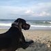 Profile Picture of Vicky Correll (@vickycorrell9) on Pinterest