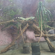 Profile Picture of Jose Tan (@josetan3966) on Youtube