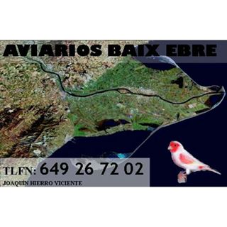 Profile Picture of J Hierro Aviarios Baix Ebre (@joaquin.hierro.355) on Facebook