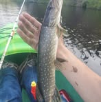 Profile Picture of Collin Youngberg (@Collin-Youngberg) on Facebook