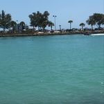 Profile Picture of Aimee Fournier (@sportys77usa) on Instagram