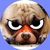 Profile Picture of NiNaByRnE22☄🐶🌀 (@@ninabyrne22) on Tiktok