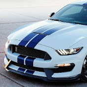 Profile Picture of Daniel Musil (@danielmusil3263) on Youtube