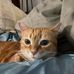 Profile Picture of Addison Wilson (@Addison-Wilson) on Facebook