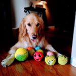 Profile Picture of Brian Lewis (@lewey914) on Instagram