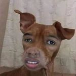 Profile Picture of Jutamas Leutanom (@thatoo_2004) on Instagram