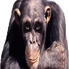 Profile Picture of Bret Higgins (@BretHiggins8) on Twitter