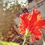 Profile Picture of Uday Nair (@ud_na) on Instagram