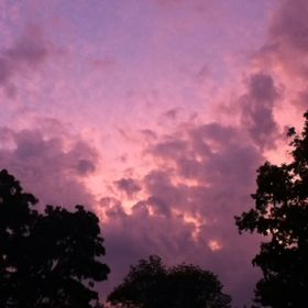 Profile Picture of Alexa Langenfeld (@alexalangenfeld) on Pinterest