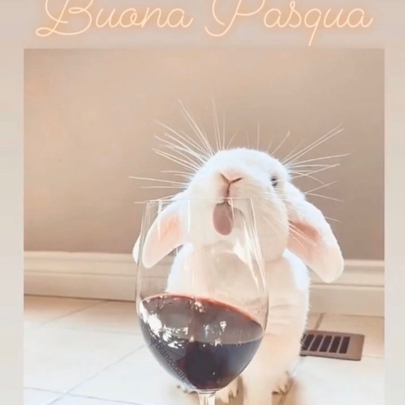 Profile Picture of Franca Ciolfitto (@fciolfitto) on Poshmark