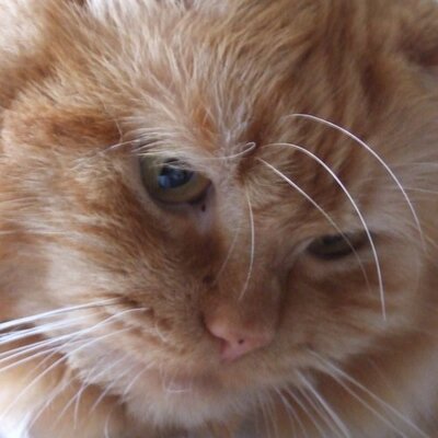 Profile Picture of Young Pyo Lee (@grafould) on Twitter