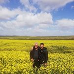 Tarek Haffar - Instagram Profile Picture of Tarek Haffar (@tarek.haffar.75) on Instagram