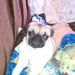 Profile Picture of Christina Berube (@spaz1021) on Pinterest
