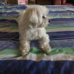 Profile Picture of Nick (@nick.decoster_2020) on Instagram