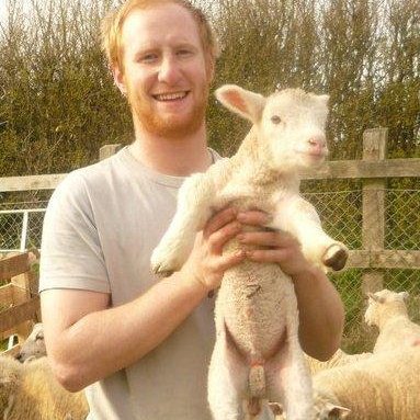 Profile Picture of Josh Coyne (@TheSheepFarmer) on Twitter