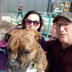 Profile Picture of Pierre Duchesne (@Pierre-Duchesne) on Facebook