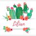 Profile Picture of lilian lópez (@lopezbrenes01) on Pinterest