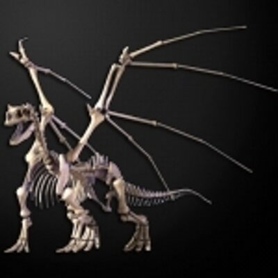 Profile Picture of Daniel Gutkin (@danigux) on Twitter