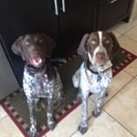 Profile Picture of Elicia (@benelli_hunter_2017) on Instagram