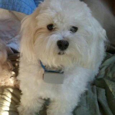 Profile Picture of Catherine Manor (@finnigan123) on Twitter