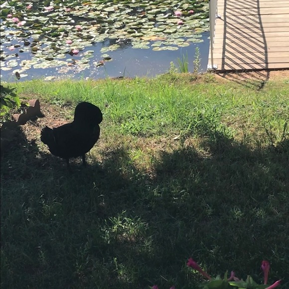 Profile Picture of Marra Mavromatis (@marramavromatis) on Poshmark