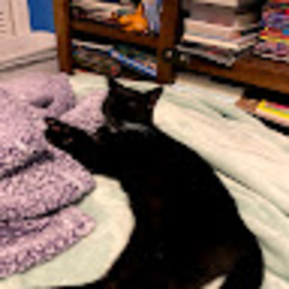 Profile Picture of Michael Willhoit (@chubzoseven) on Poshmark