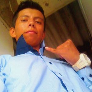 Profile Picture of Ivan Andres Newton (@snout134) on Twitter