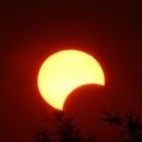 Profile Picture of Patrick Lehmann (@lehmann1916) on Pinterest
