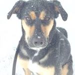 Profile Picture of Claudine Ford Dupuis (@claudineford.dupuis) on Instagram