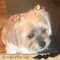 Profile Picture of Ruby Burton (@ruby.burton.106) on Facebook