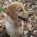 Profile Picture of Lisa Lozier (@lisalozier0329) on Pinterest