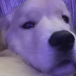 Profile Picture of ben heller (@ben_be_actually_jamin) on Instagram