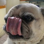 Profile Picture of Aaron (@aaron_aja_013) on Instagram