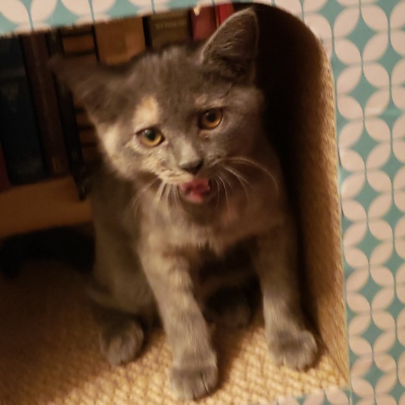 Profile Picture of Michael Tesney (@radiohour) on Poshmark