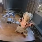 Profile Picture of James VogelLaughner (@James-Vogel-Laughner) on Facebook