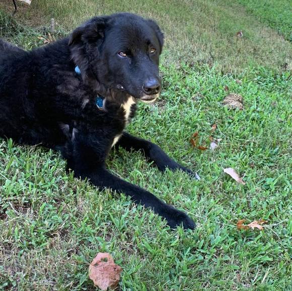 Profile Picture of Kristie Knopp-tobener (@krae) on Poshmark