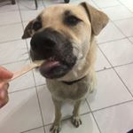 Profile Picture of Sing Huang (@singhuang83) on Instagram