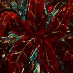 Profile Picture of Matthew Molina (@whiteboitodd72) on Instagram