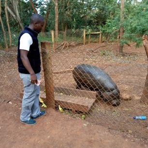 Profile Picture of Patrick Njoroge. (@Patrick86637006) on Twitter