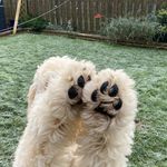 Michelle Colbourne - Instagram Profile Picture of Michelle Colbourne (@mcolbourne) on Instagram