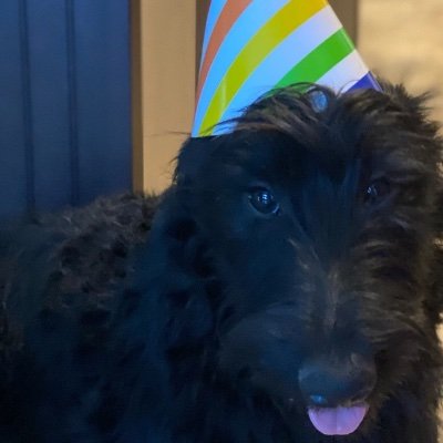 Profile Picture of Steve Moeller (@Stevemoeller11) on Twitter