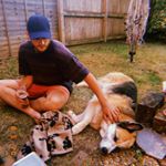 Profile Picture of David Waller (@davidwallerbee) on Instagram