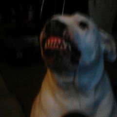 Profile Picture of George Clark (@georgeclark0) on Tiktok