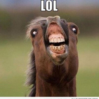 Profile Picture of Nathan Ormiston (@OrmistonT) on Twitter