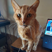 Profile Picture of George Howe (@georgehowe5941) on Youtube